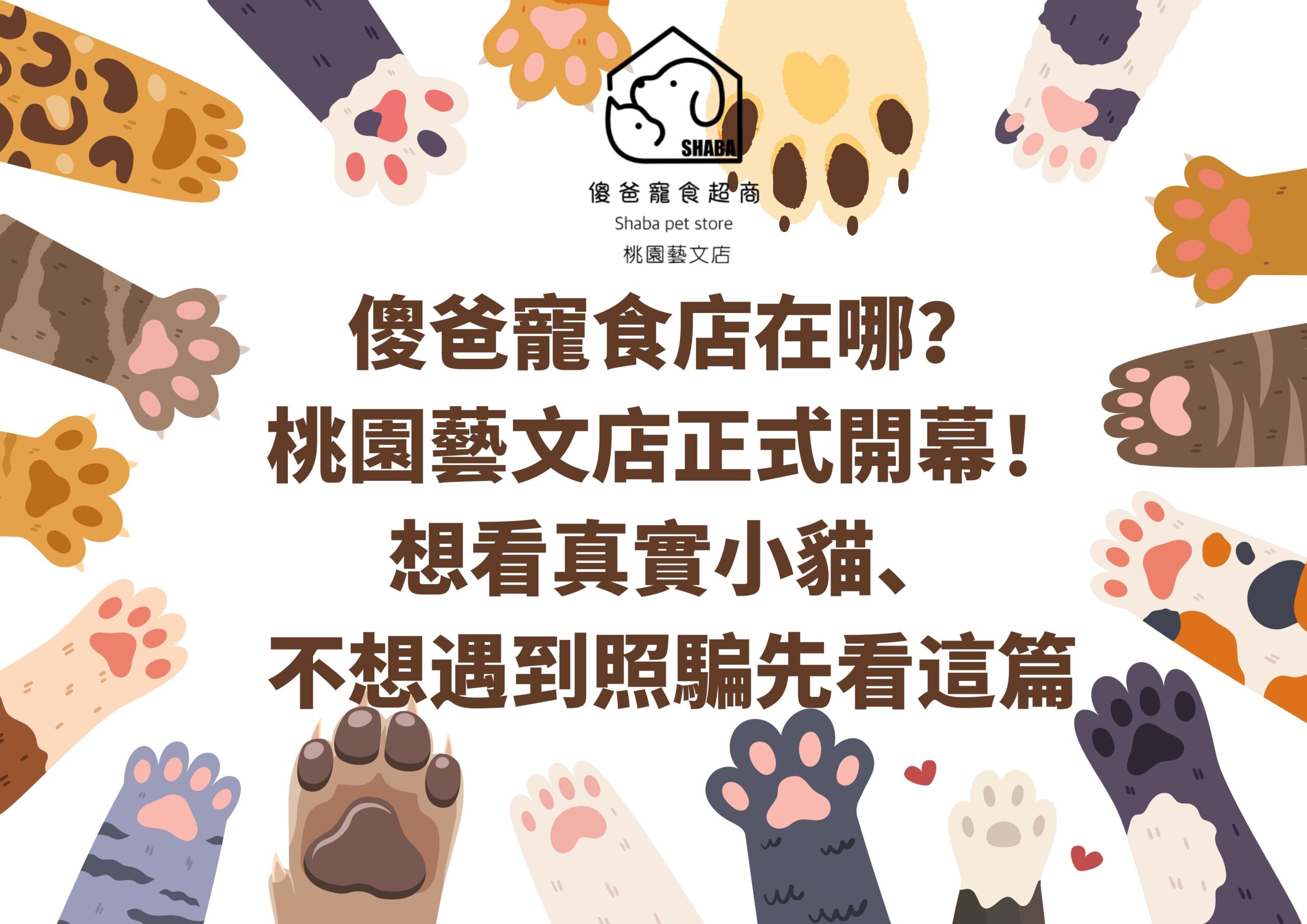 傻爸寵食店在哪