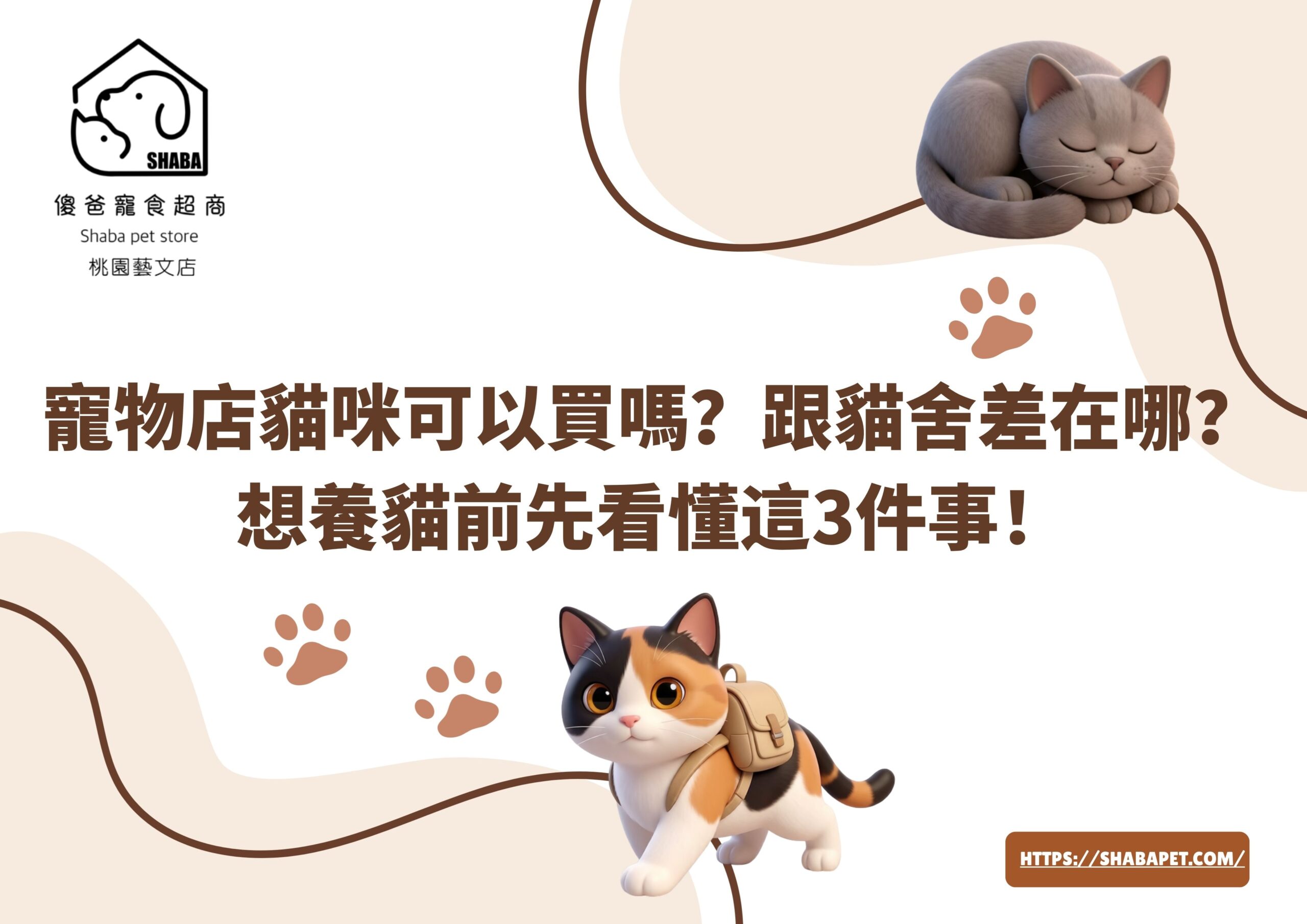 寵物店貓咪