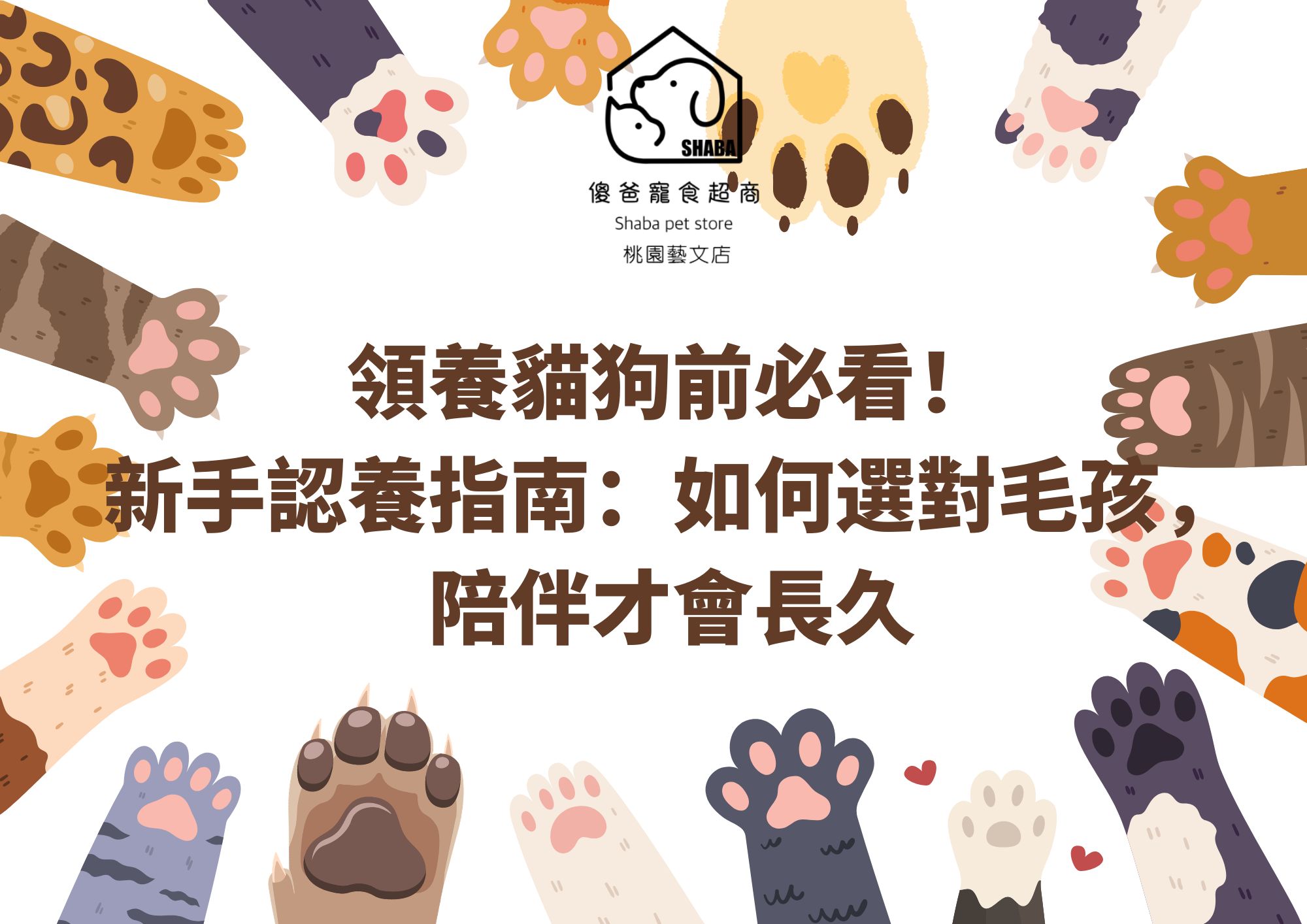 領養貓狗