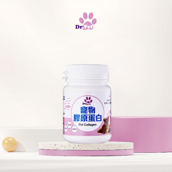 貓咪需要吃保健品嗎?