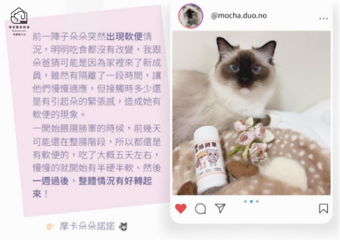 傻爸寵食超商評價