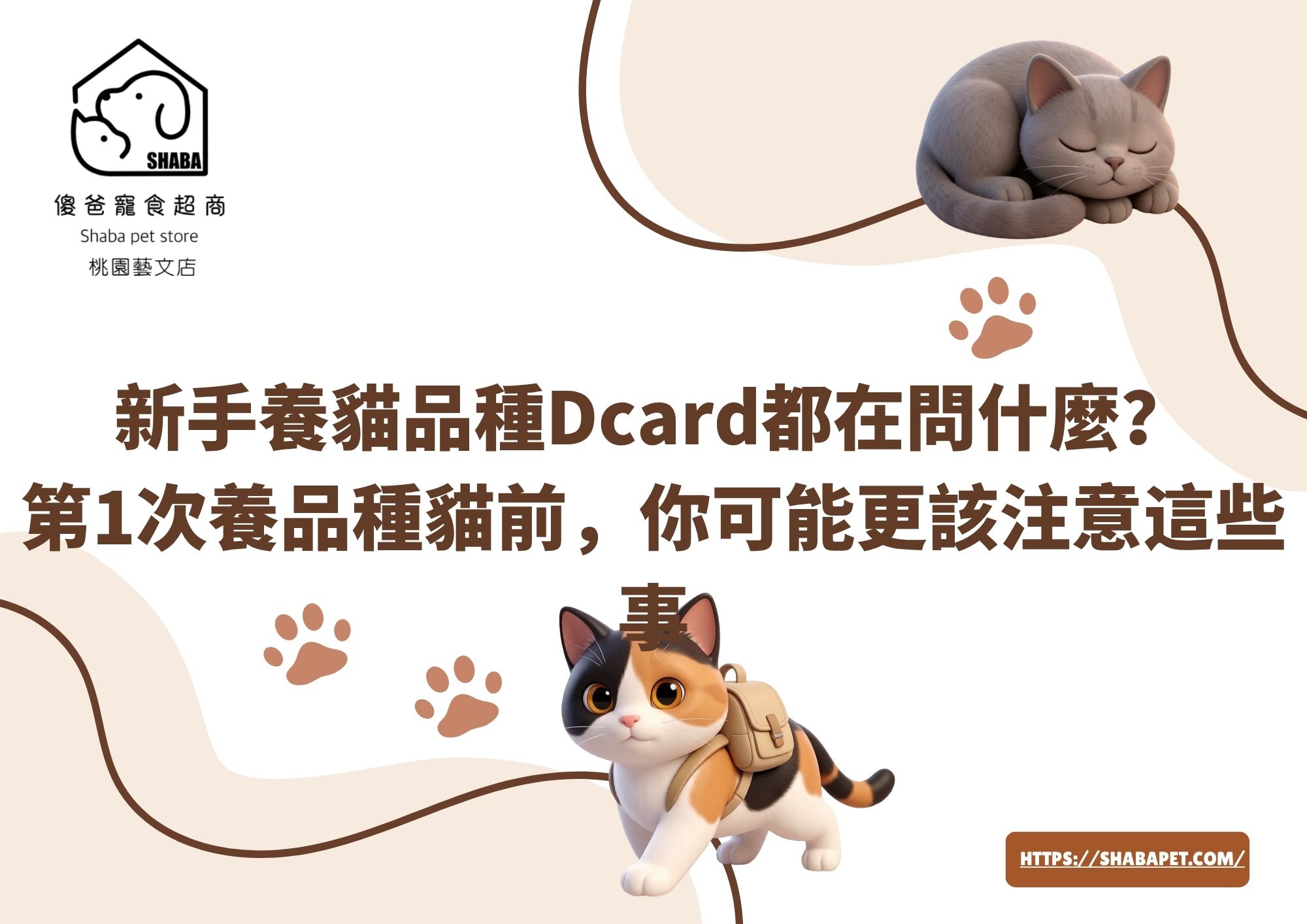 新手養貓品種dcard