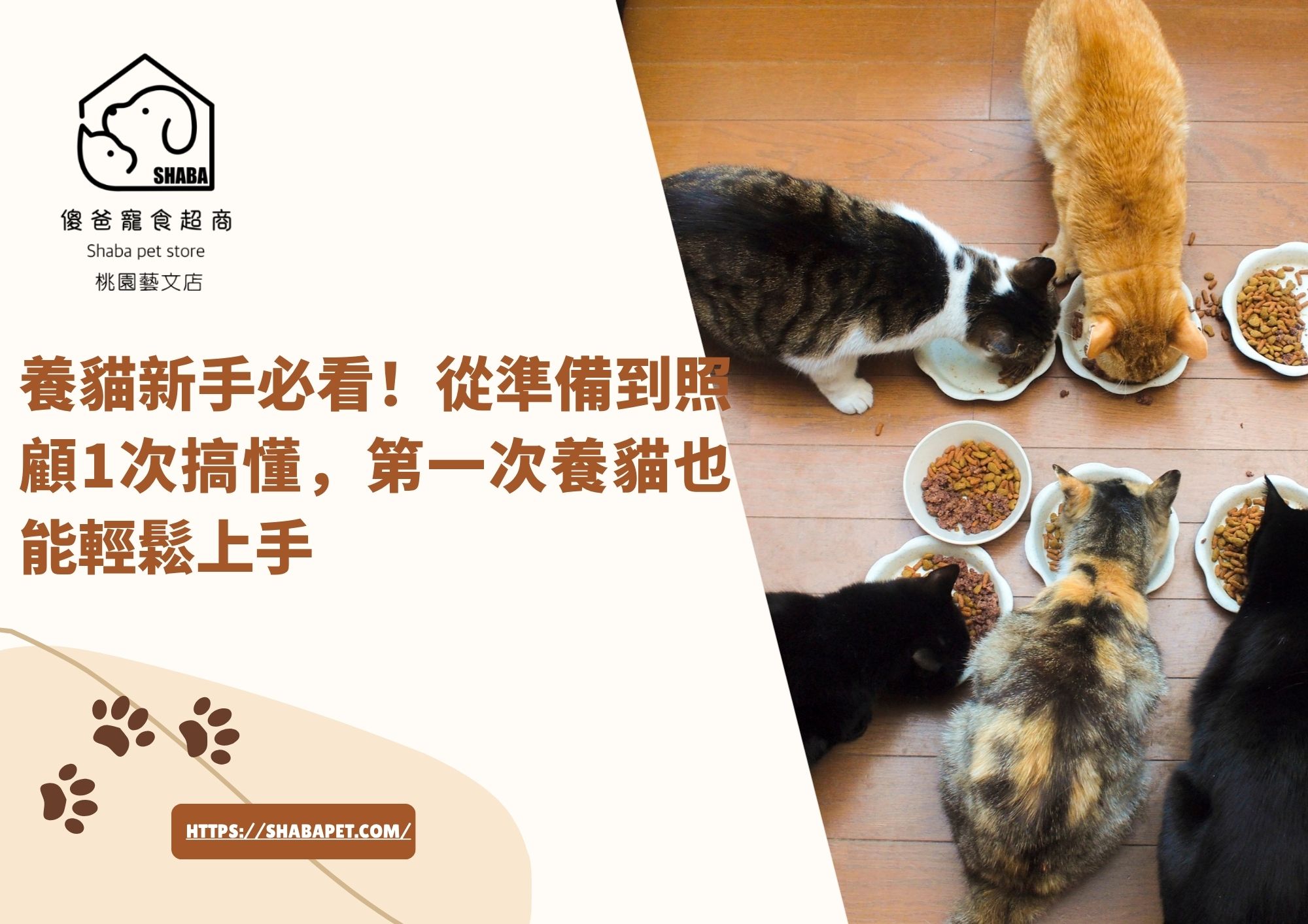 養貓