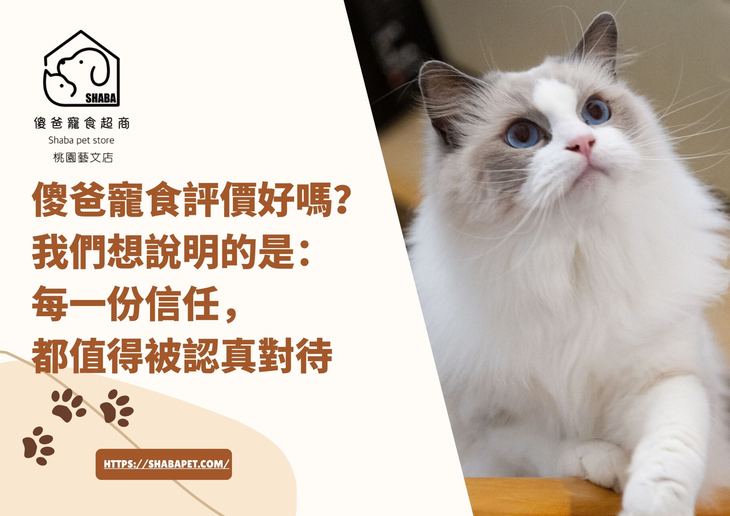 傻爸寵食評價