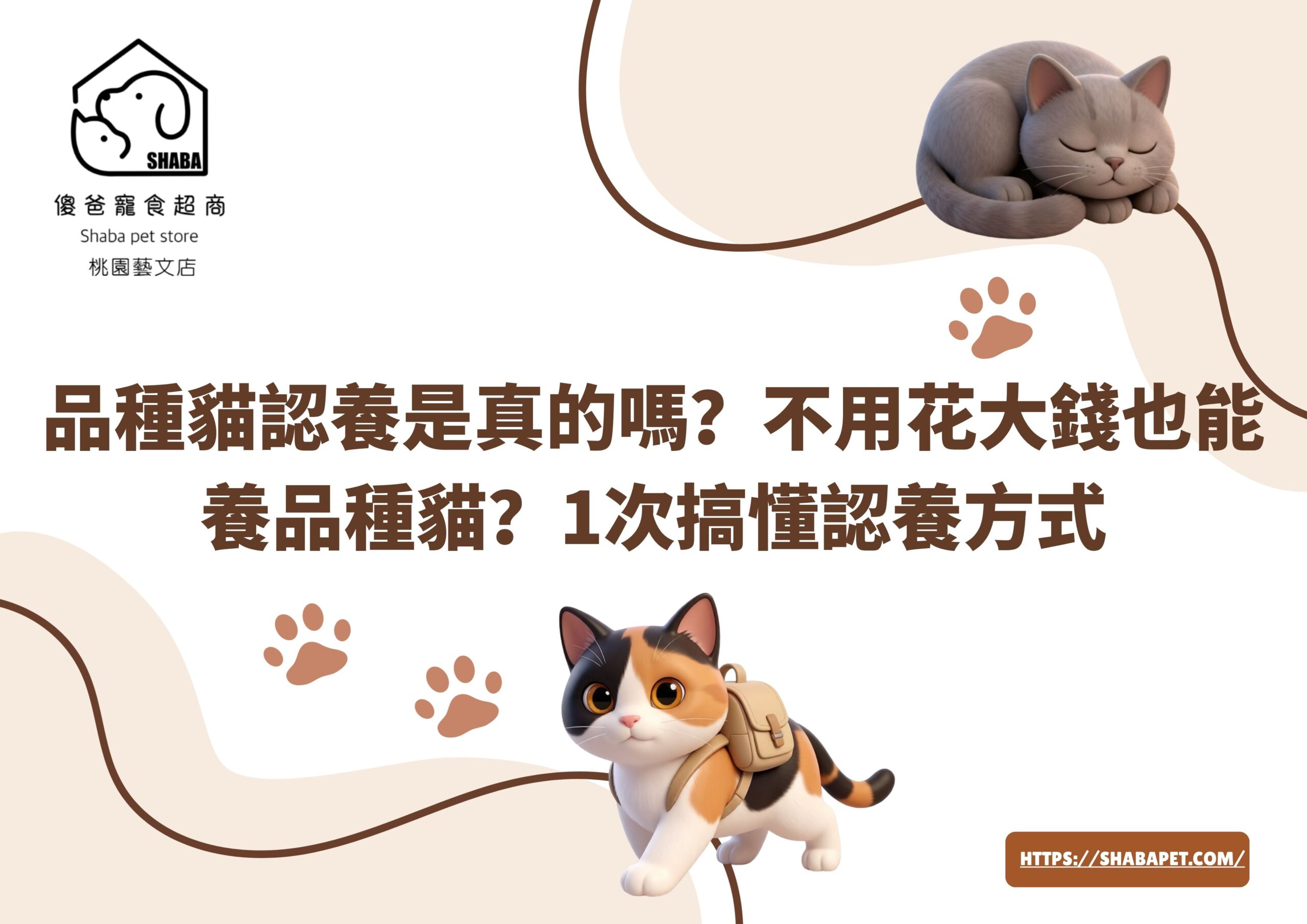 品種貓認養