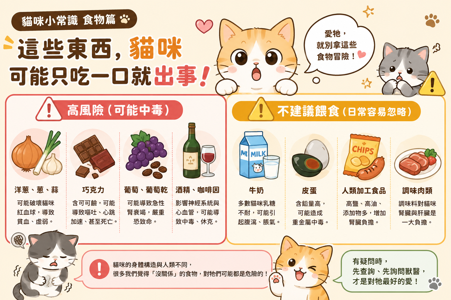 貓咪小常識