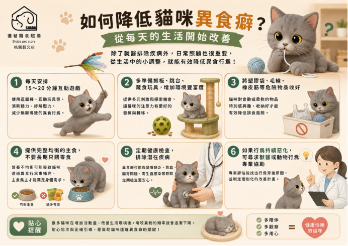 貓咪異食癖