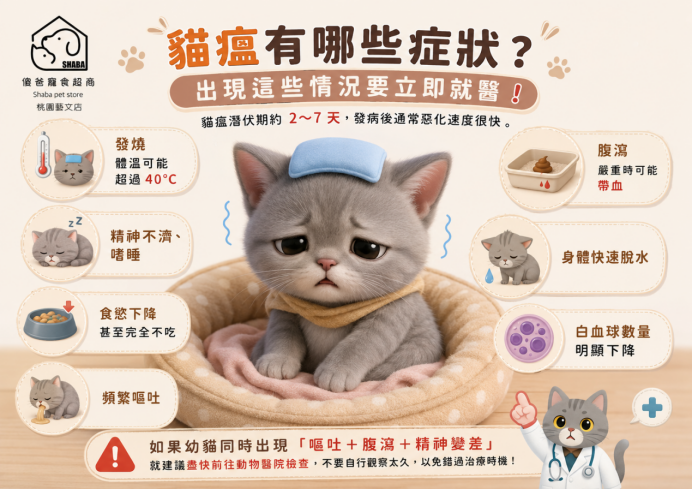 貓瘟