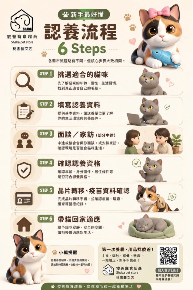 貓咪認養