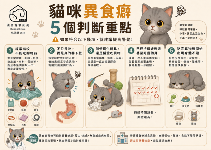 貓咪異食癖