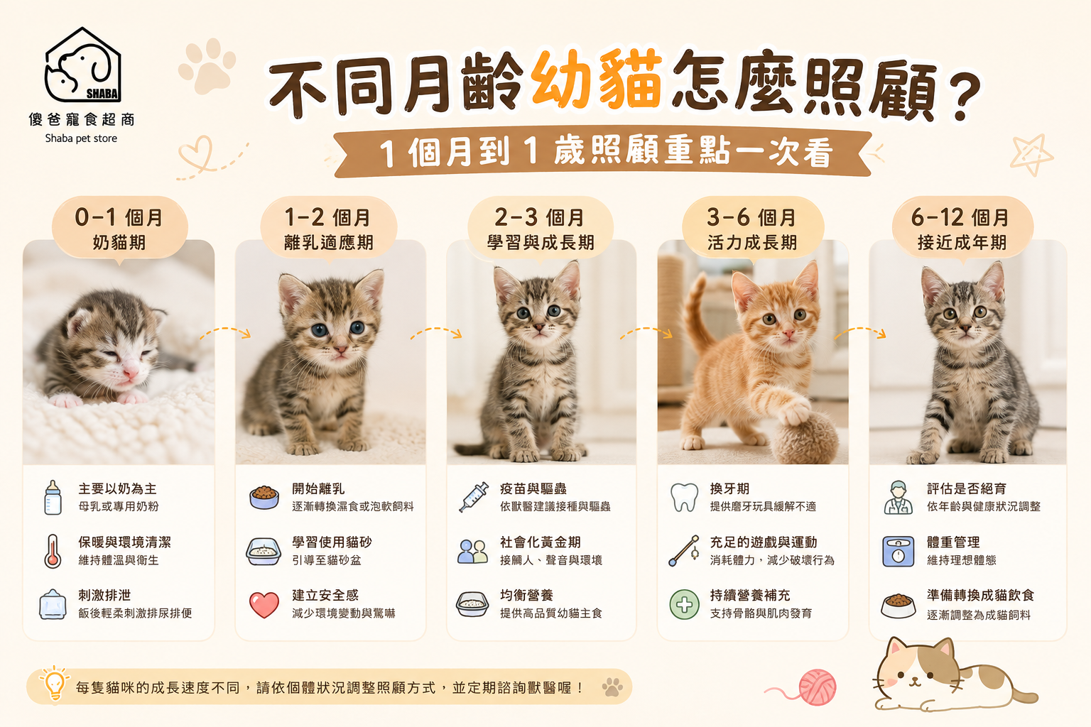 幼貓怎麼照顧