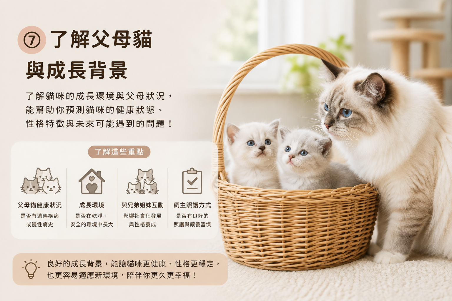 桃園貓舍