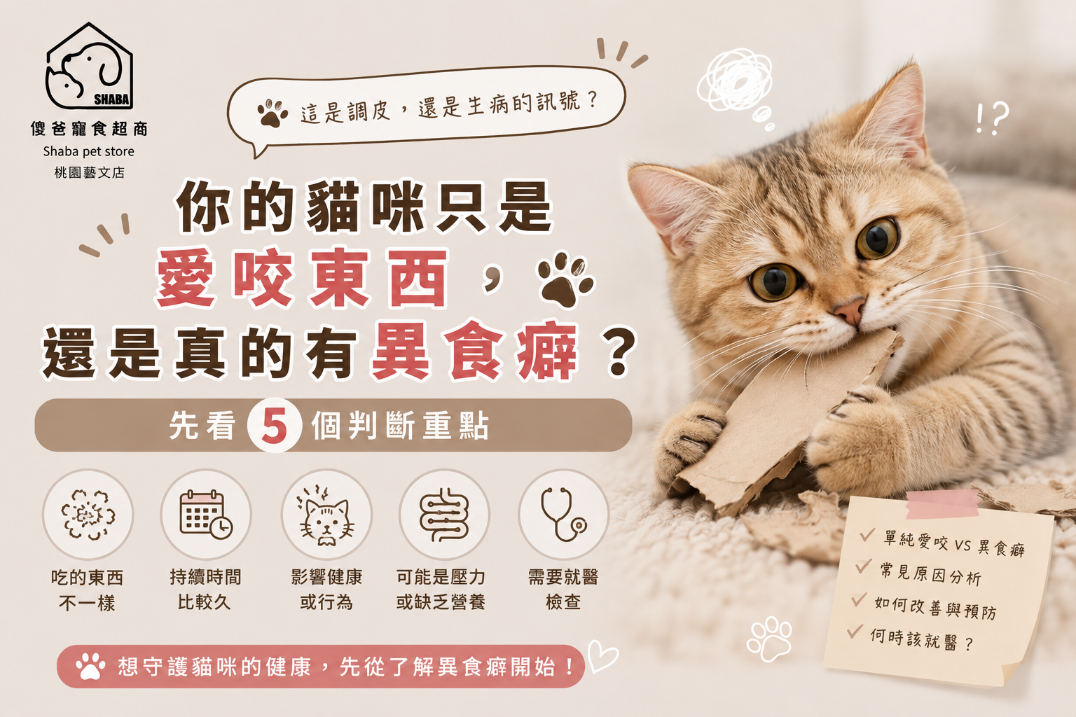 貓咪異食癖