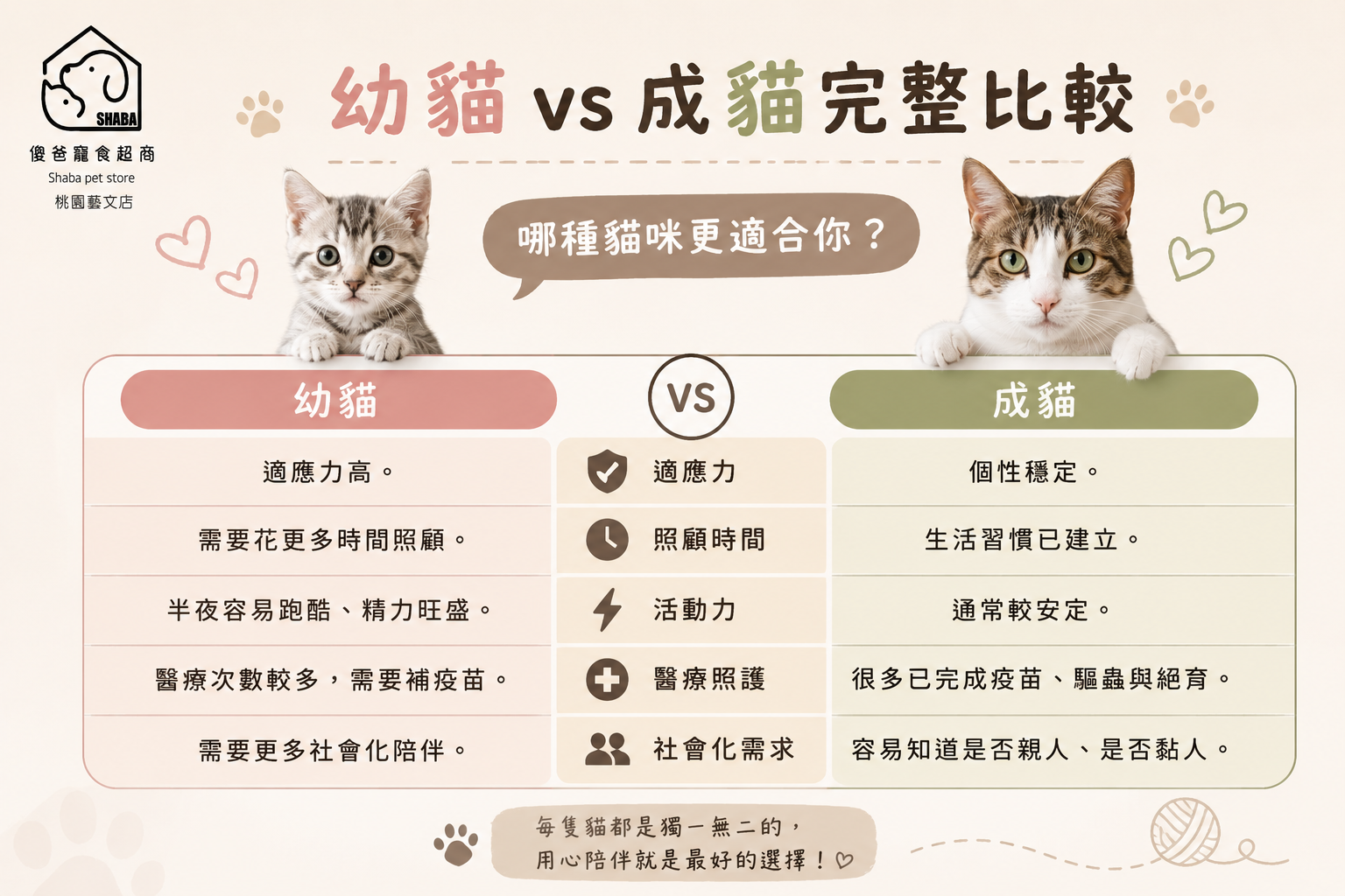 貓咪認養