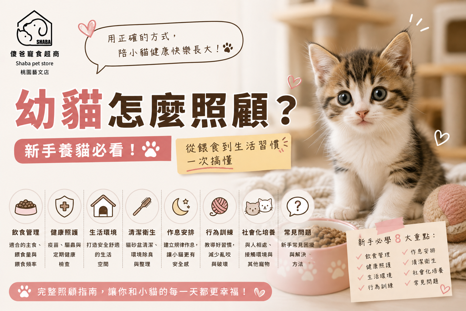 幼貓怎麼照顧