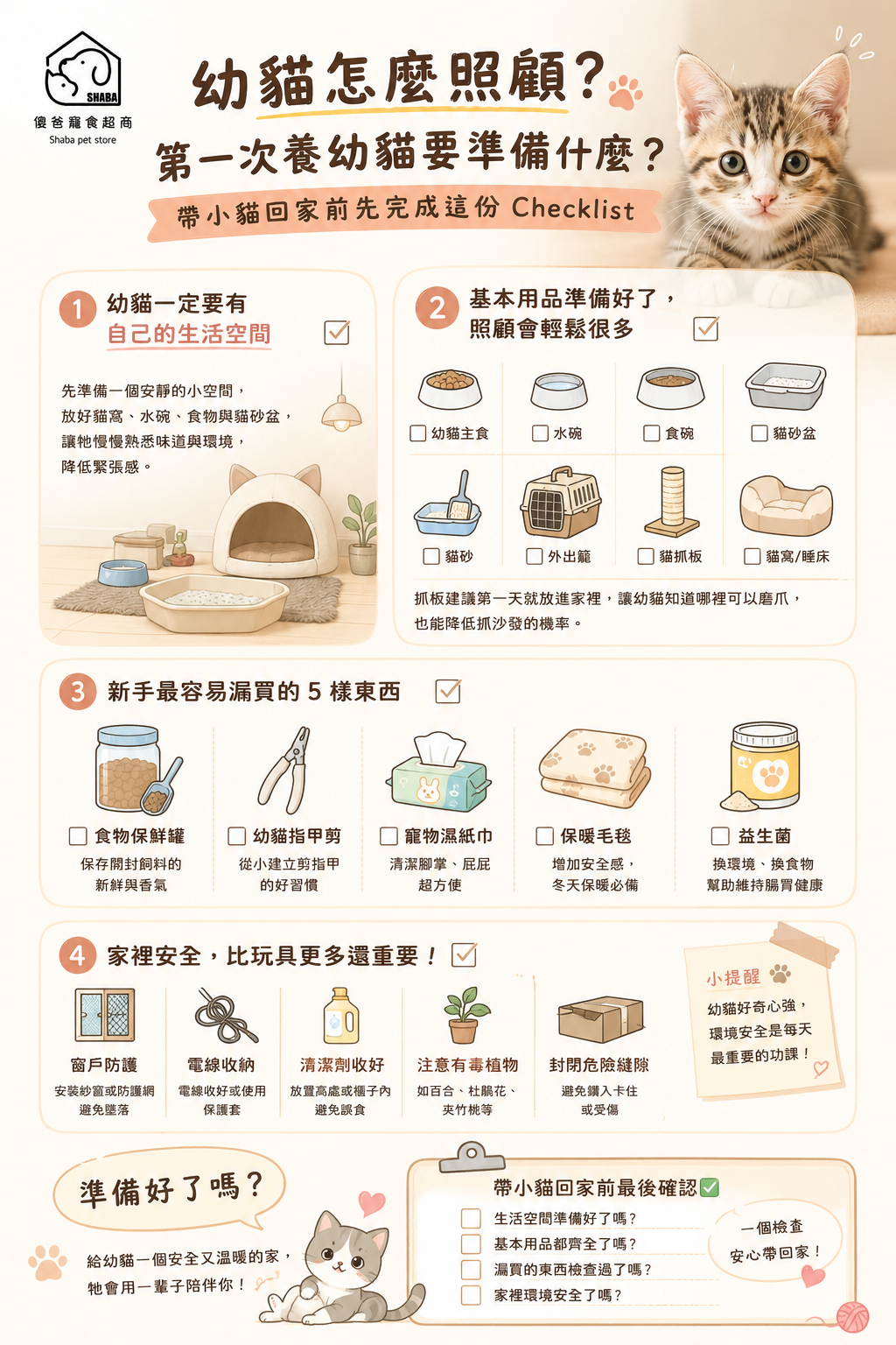 幼貓怎麼照顧