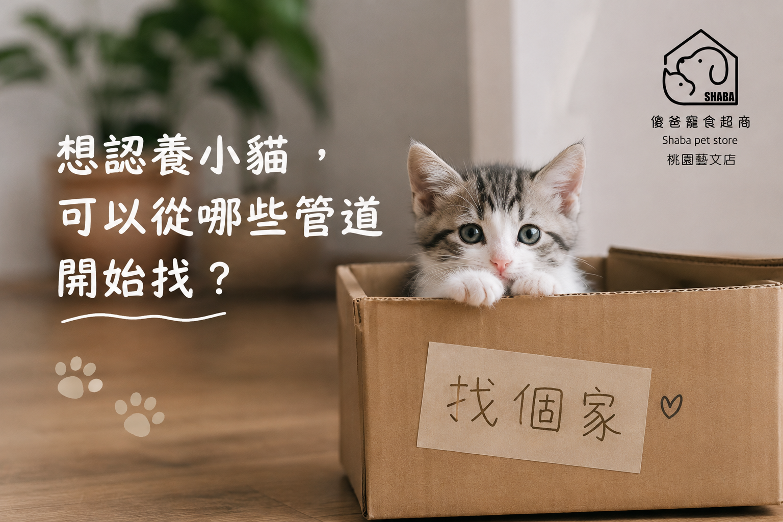 認養