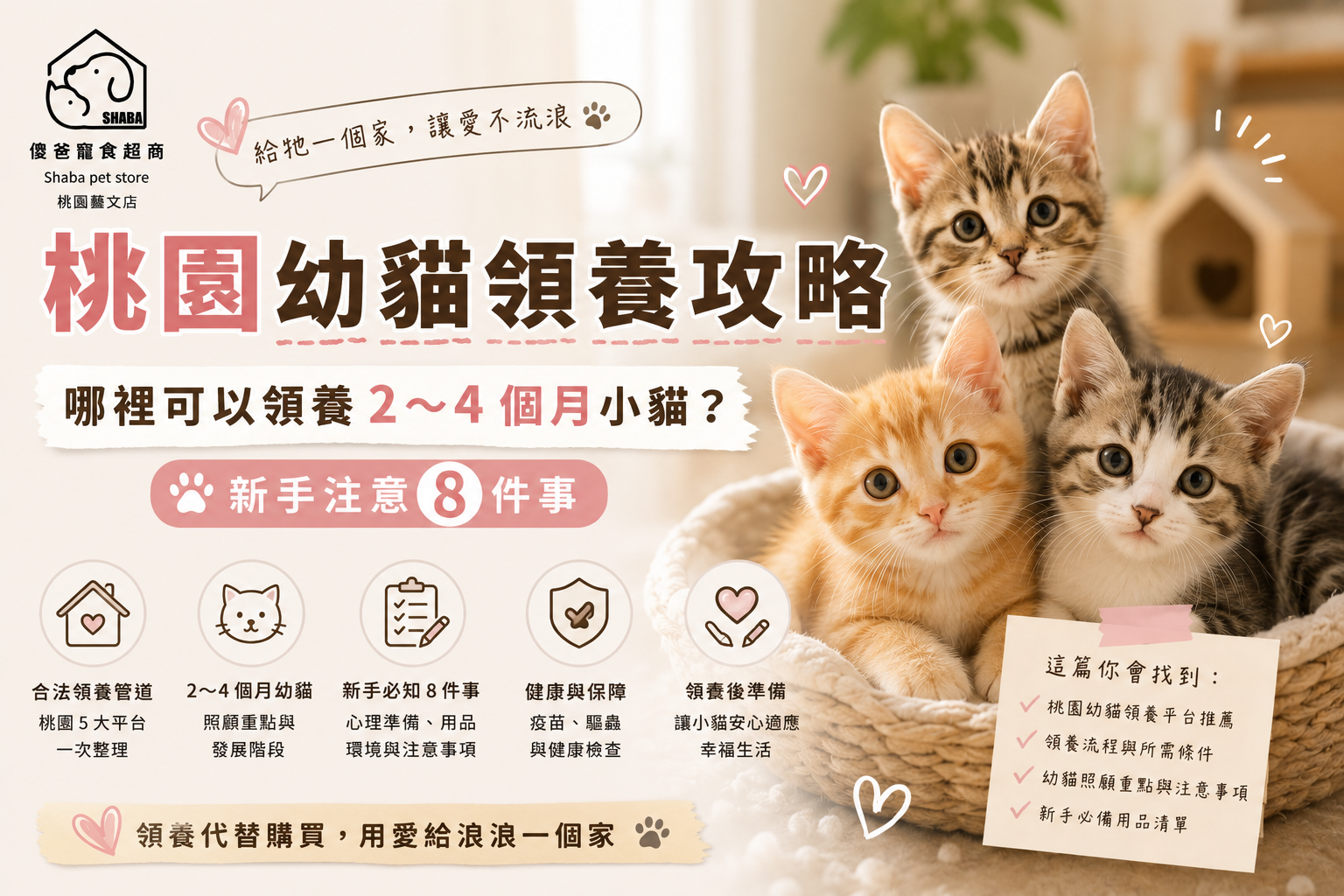 桃園幼貓領養