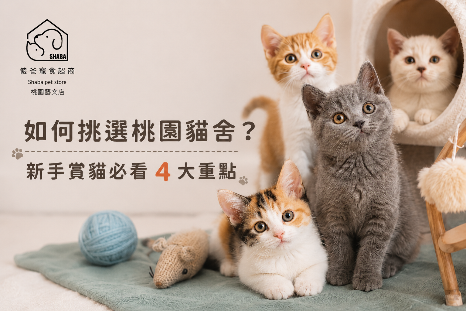 桃園貓舍