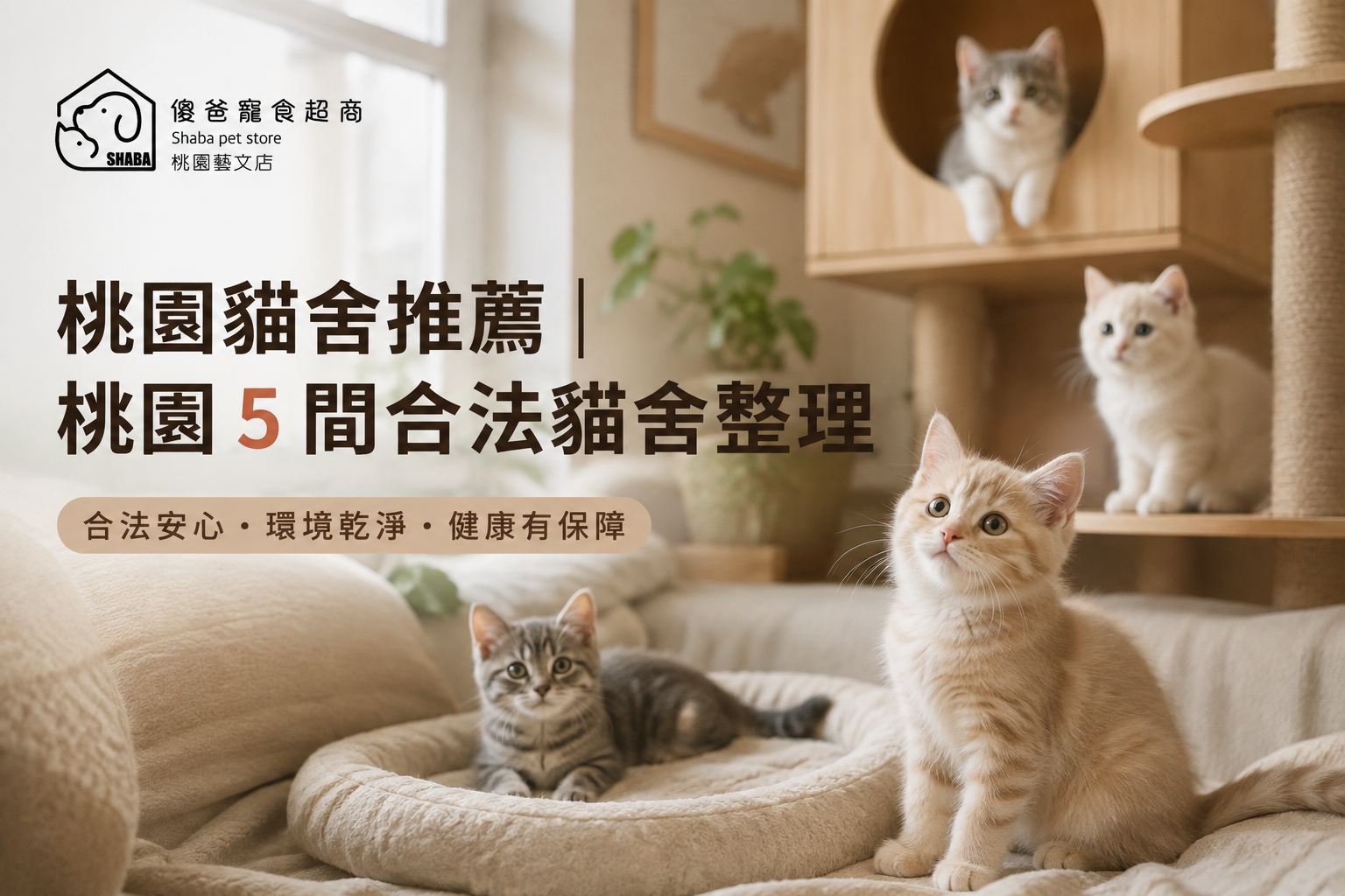 桃園貓舍