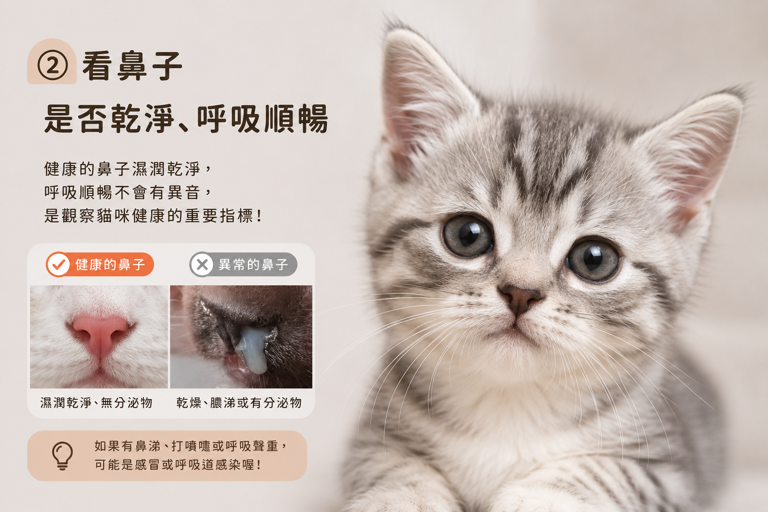 桃園貓舍