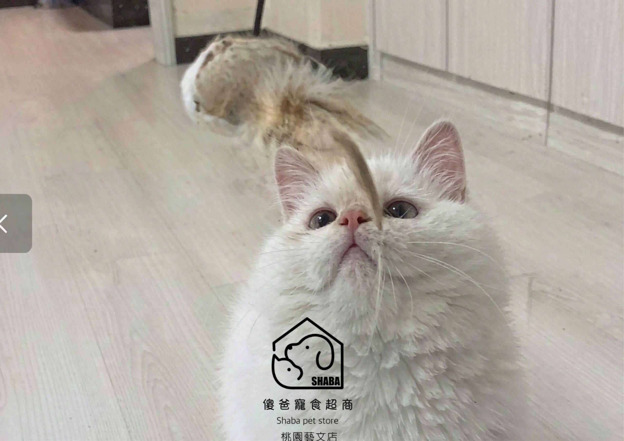 真實客戶回饋