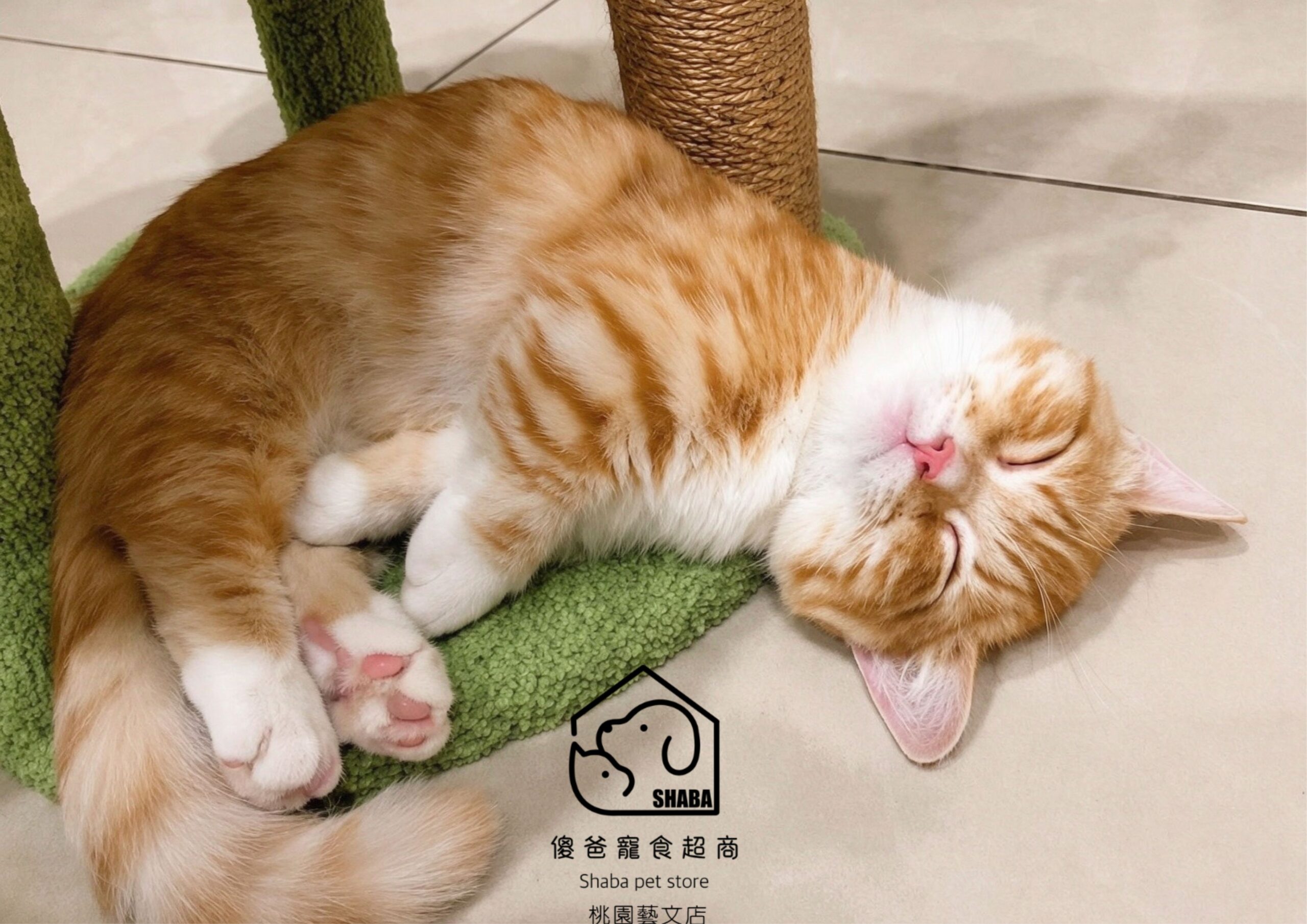 真實客戶回饋