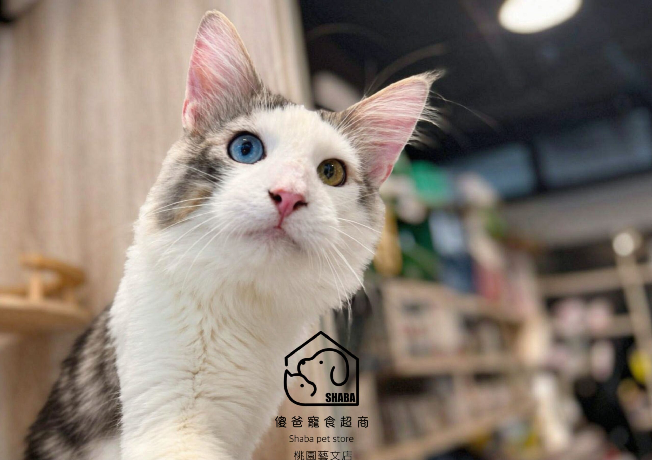 真實客戶回饋