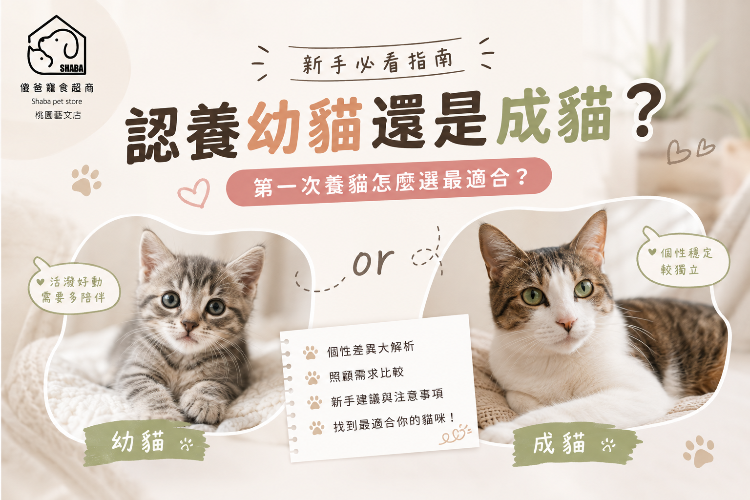 貓咪認養