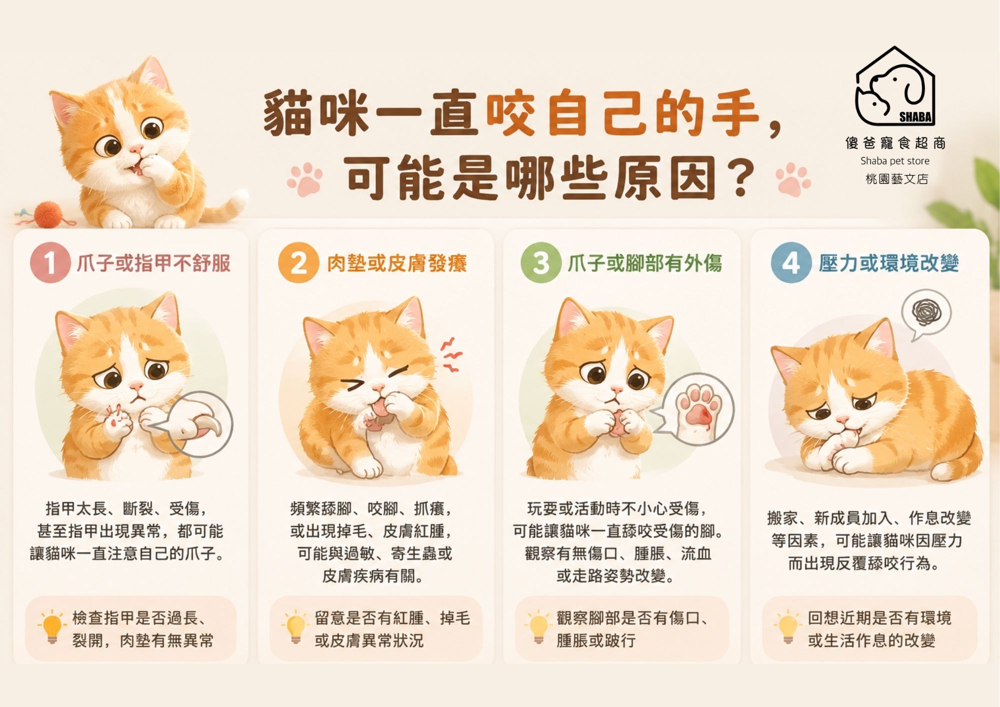 貓咪咬自己的手