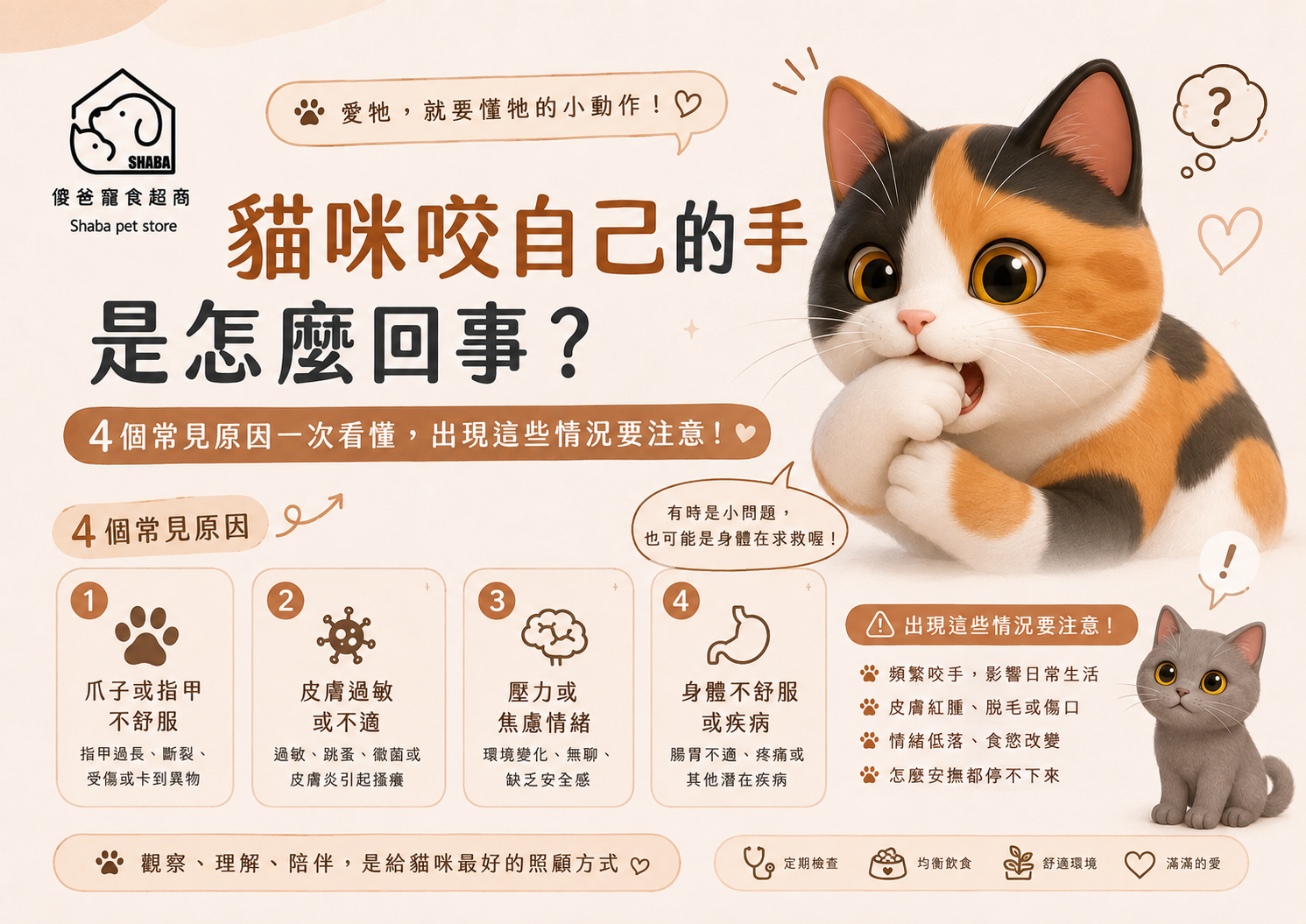 貓咪咬自己的手