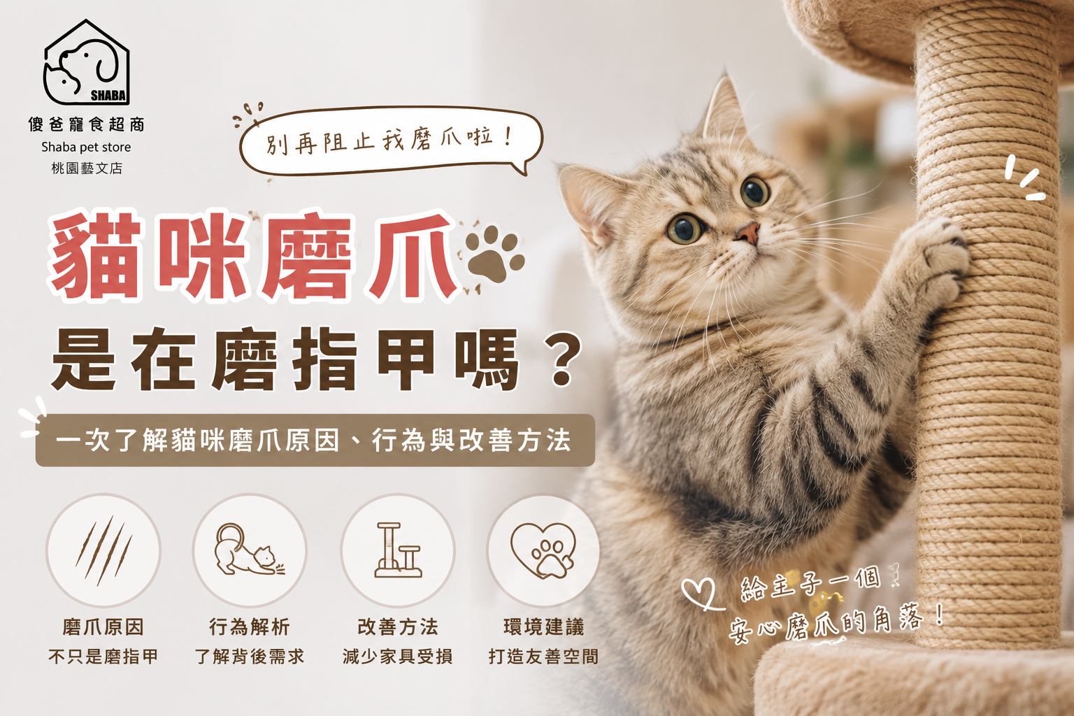 貓咪磨爪