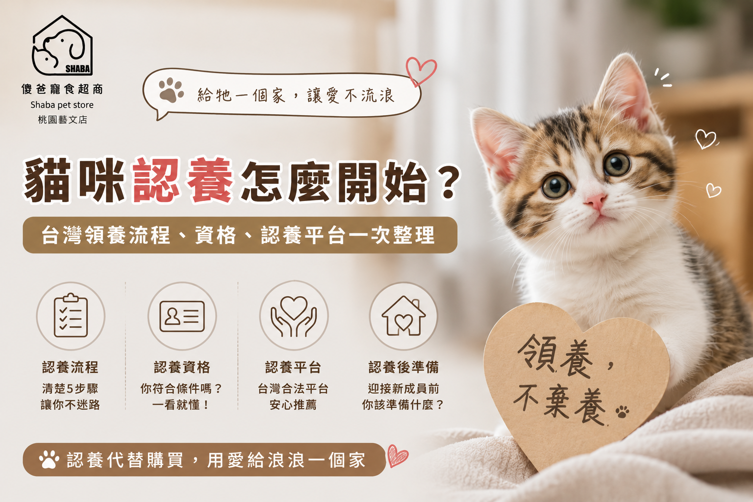 貓咪認養