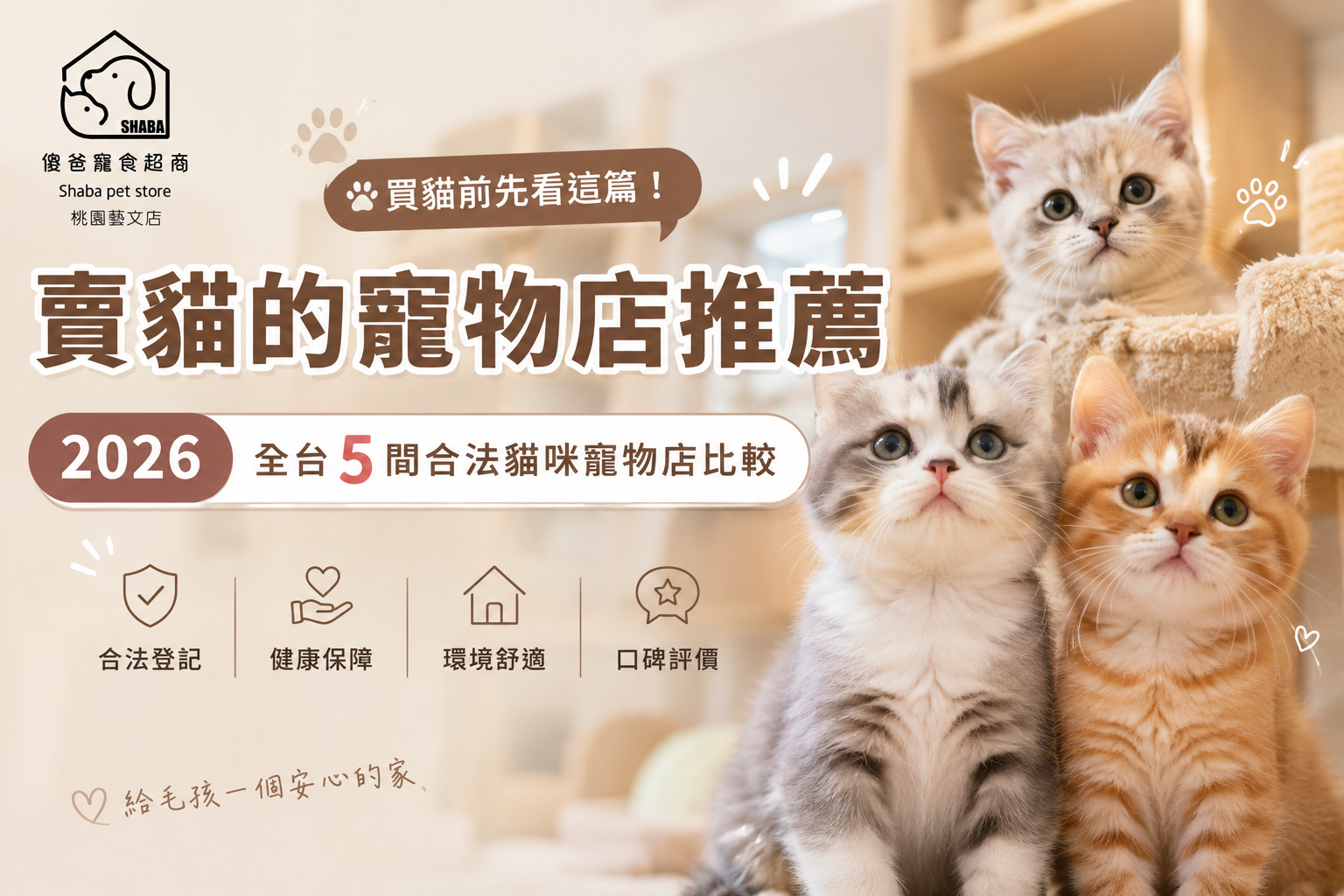 賣貓的寵物店