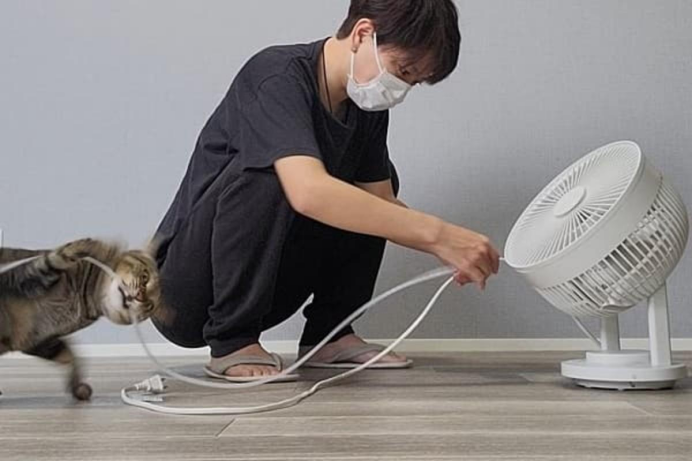 貓咪做錯可以打嗎