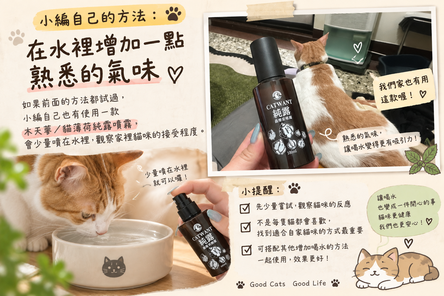貓咪不喝水怎麼辦