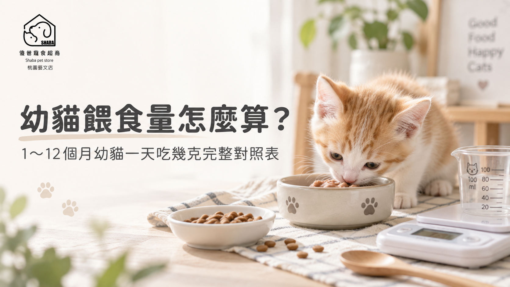 幼貓餵食量