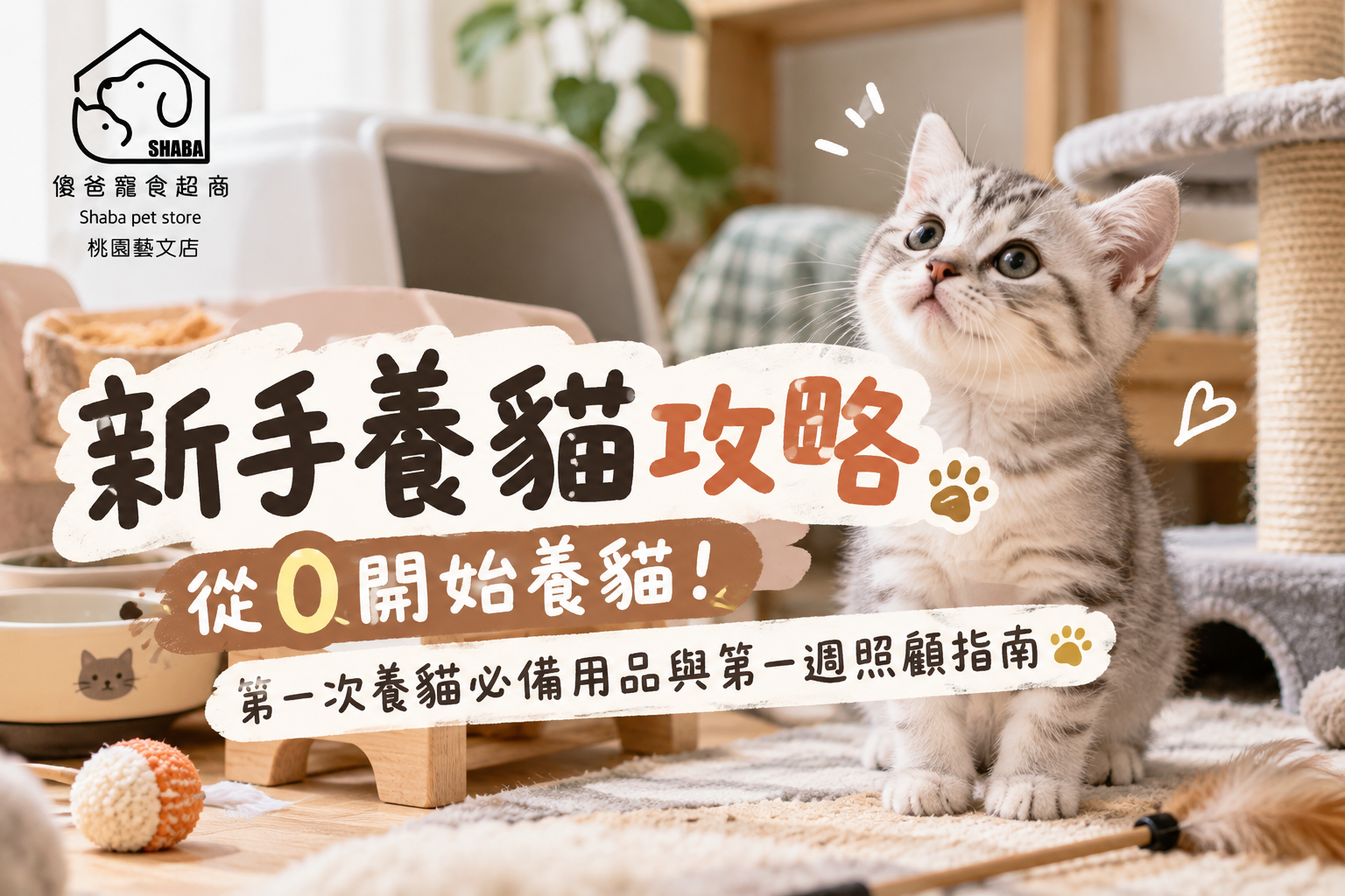 新手養貓攻略
