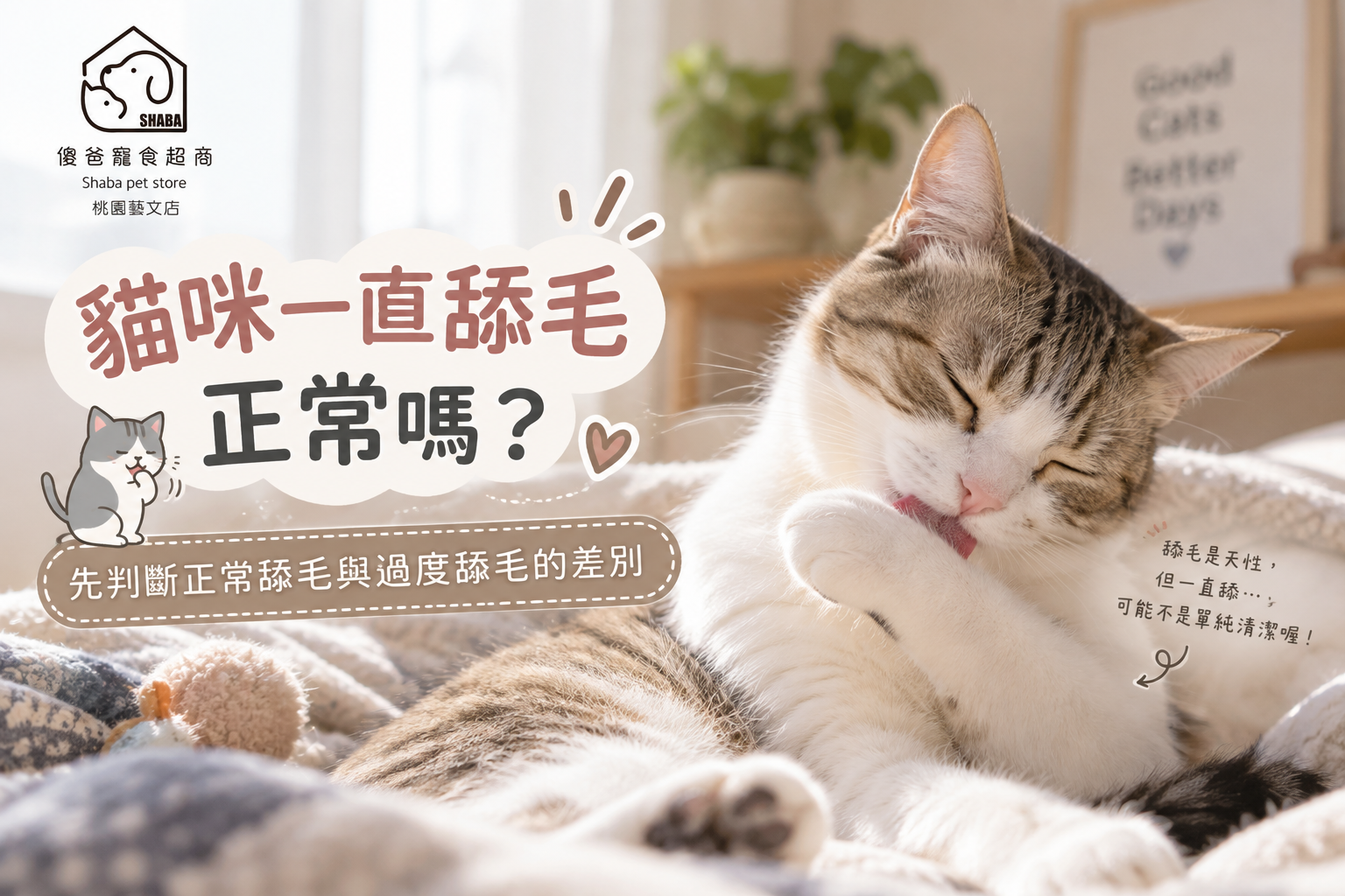 貓咪一直舔毛