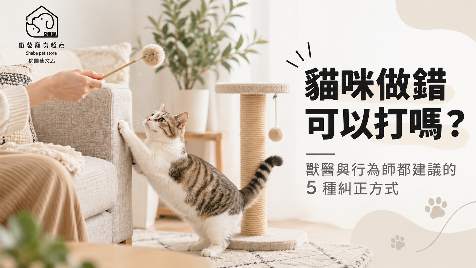 貓咪做錯可以打嗎