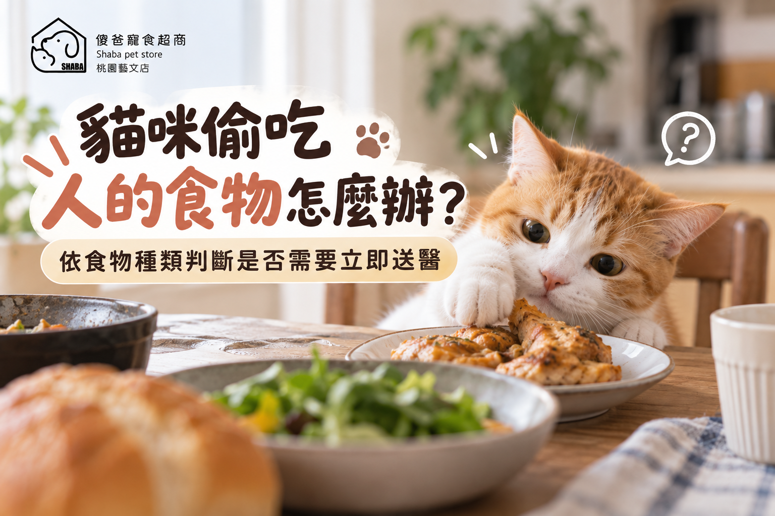 貓咪可以吃人的食物嗎