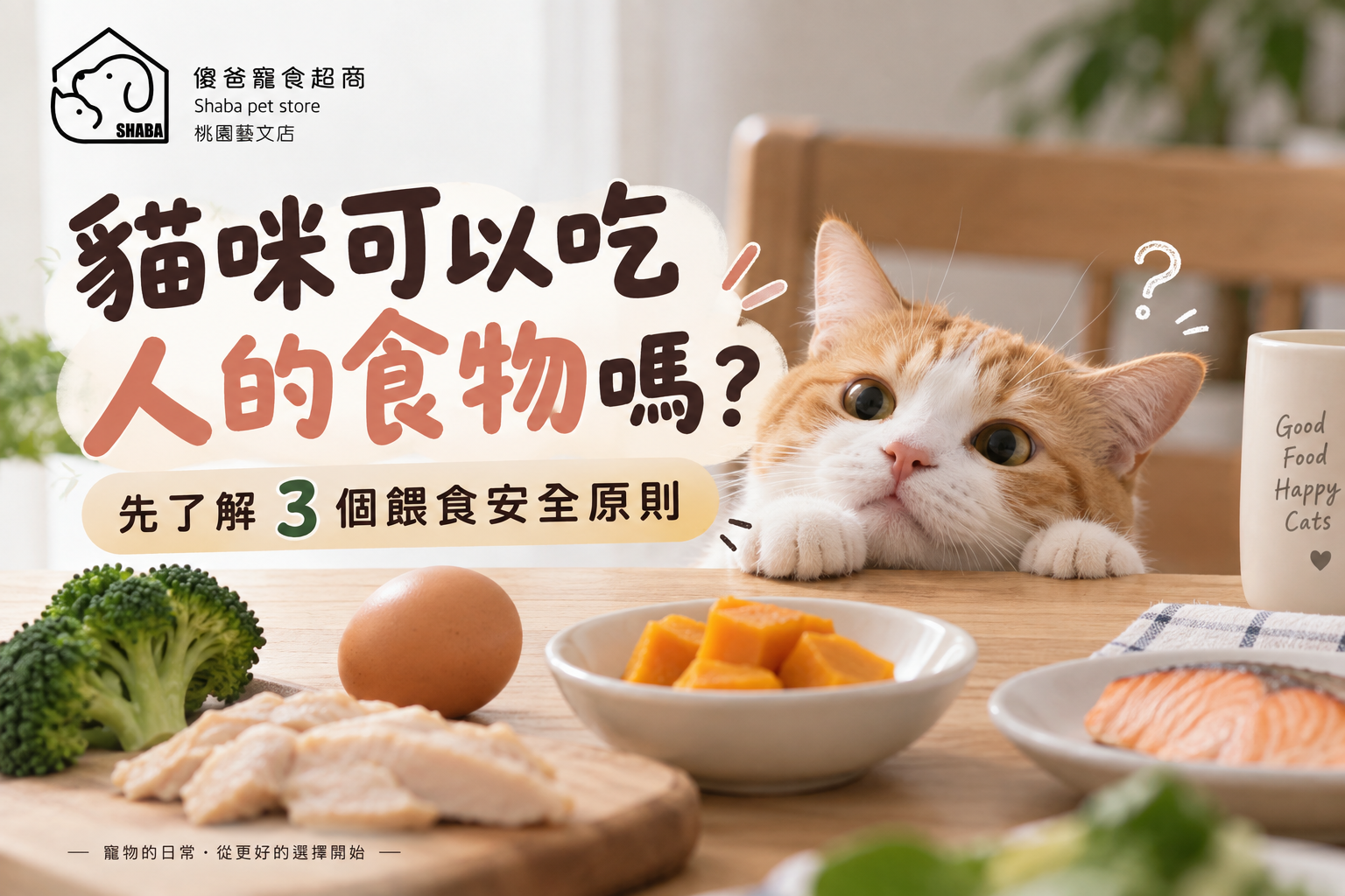 貓咪可以吃人的食物嗎