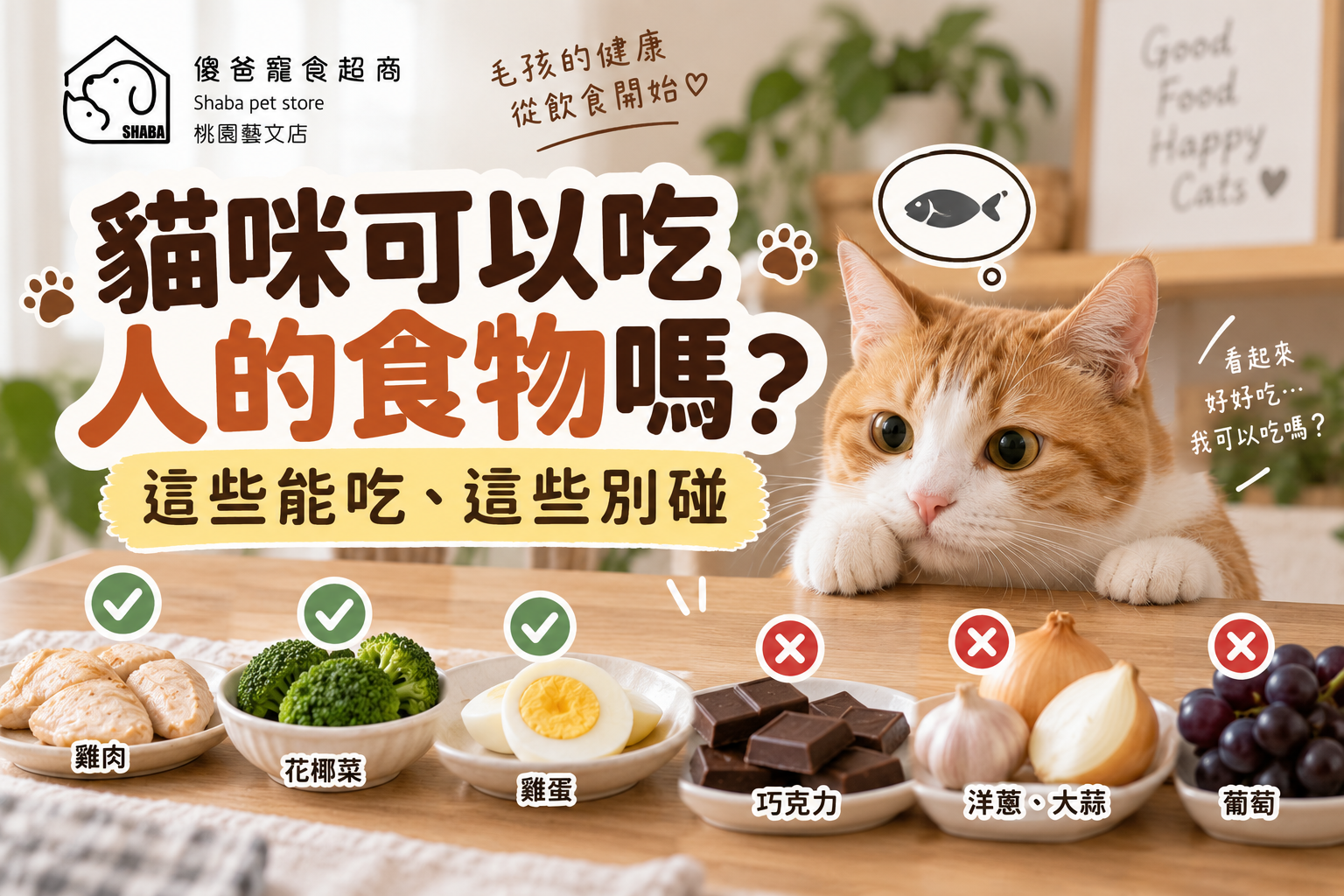 貓咪可以吃人的食物嗎