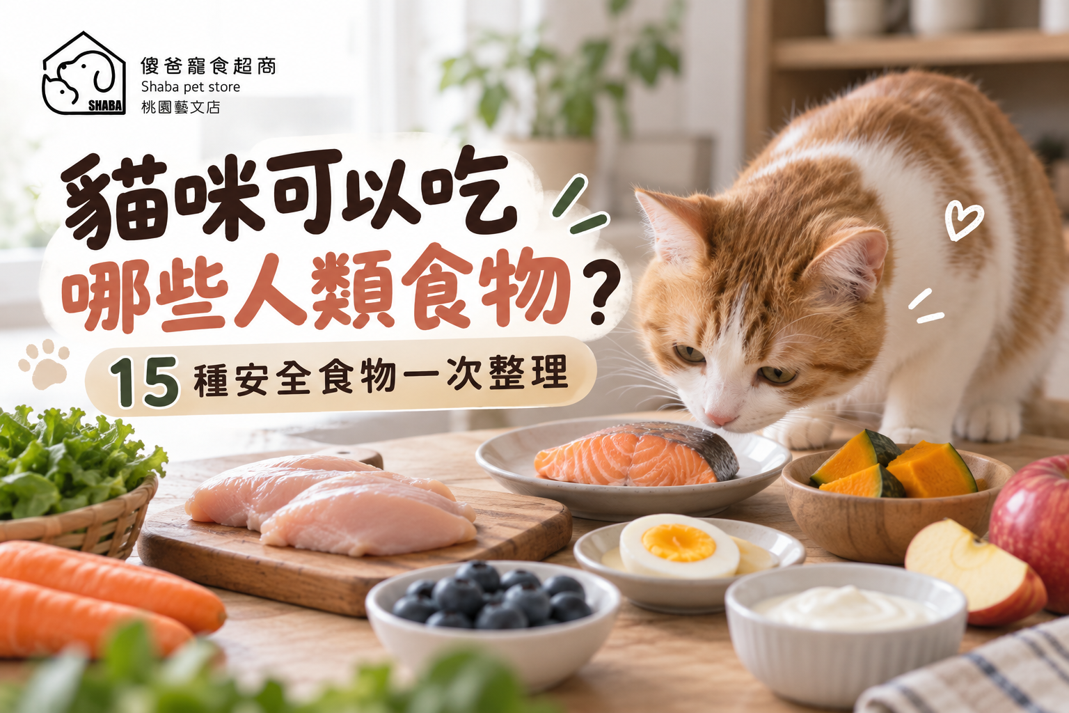 貓咪可以吃人的食物嗎