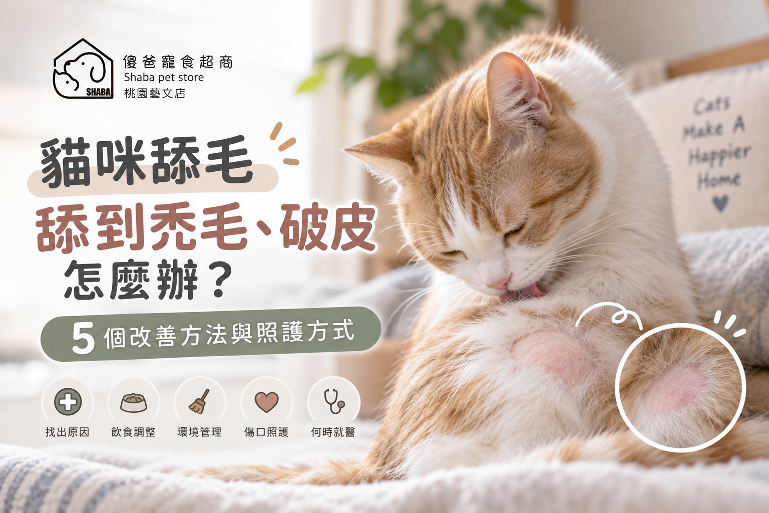 貓咪一直舔毛