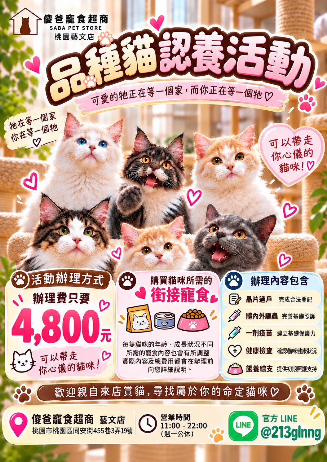 品種貓認養活動