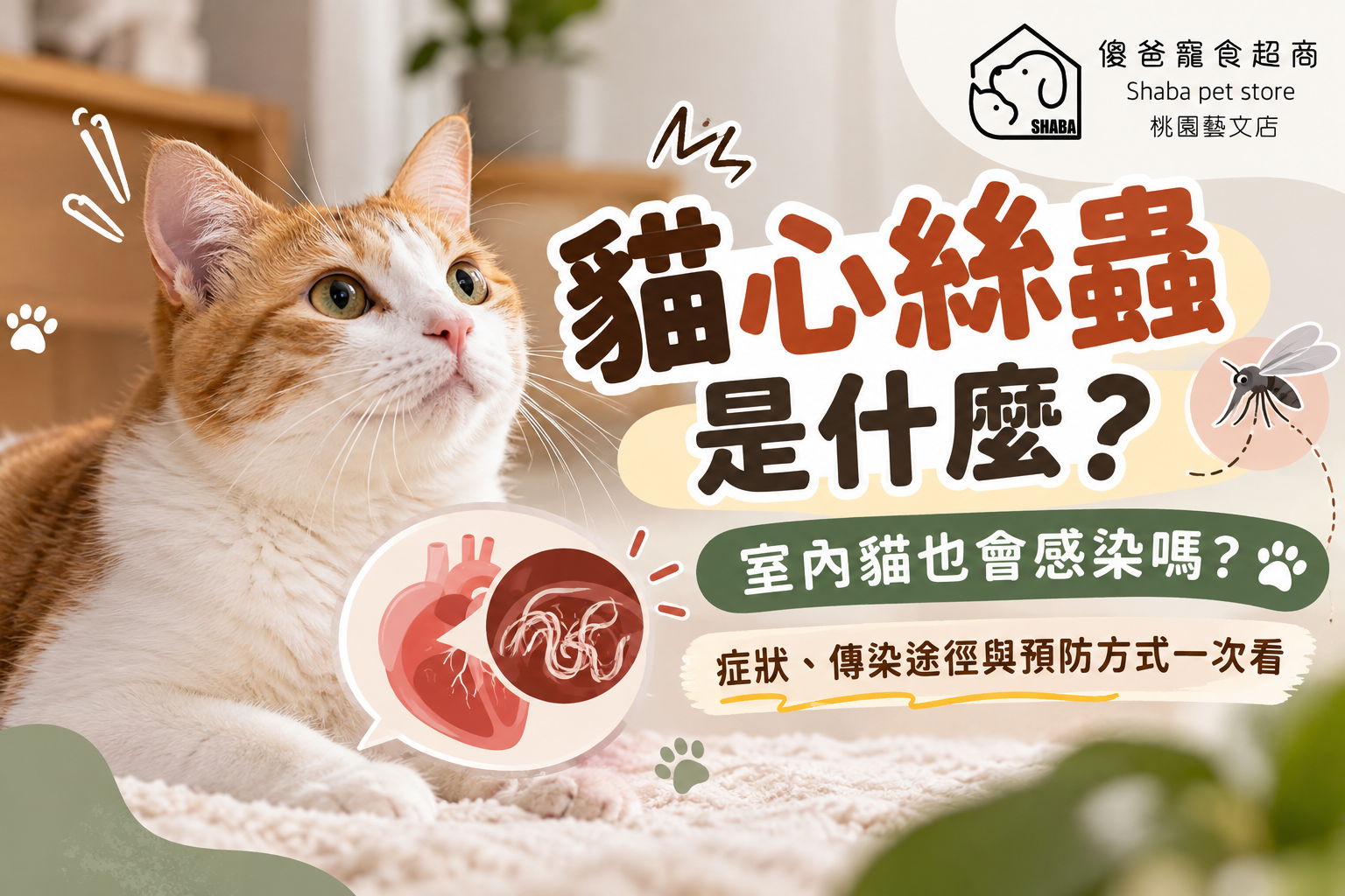 貓心絲蟲
