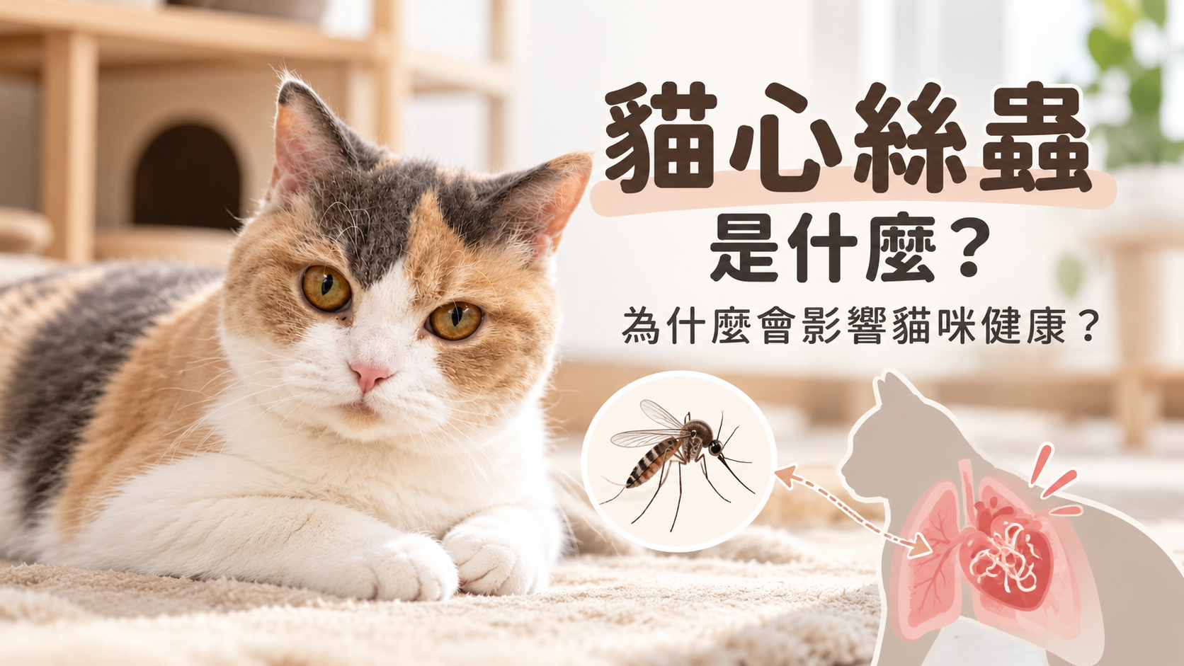 貓心絲蟲