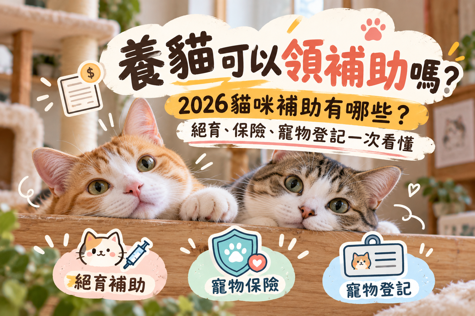 養貓可以領補助嗎